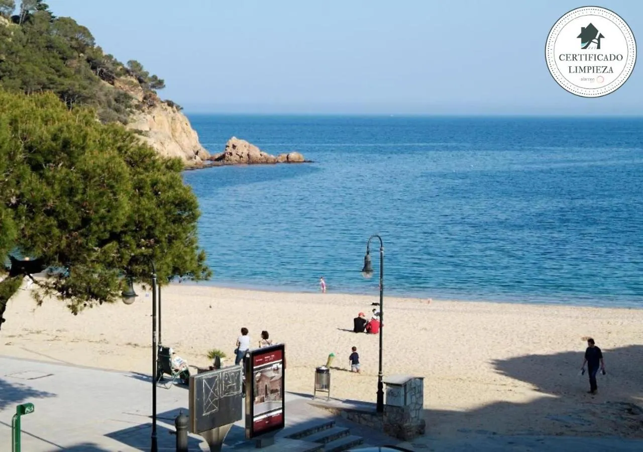 Gala 4 location